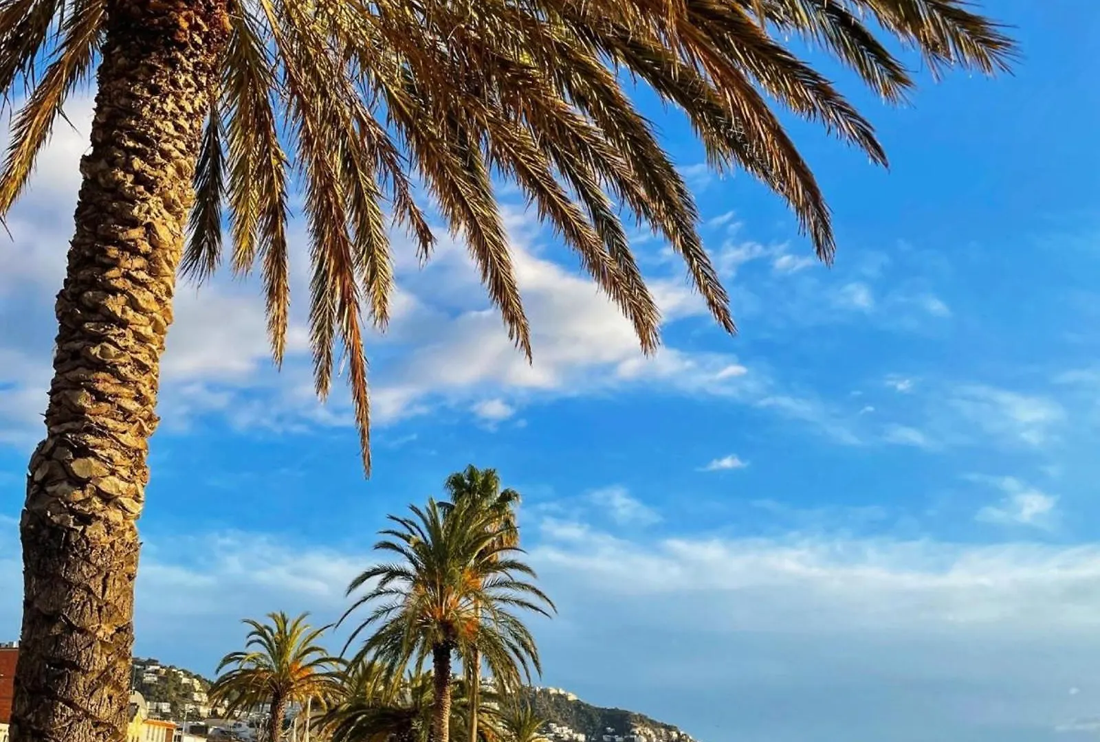Royal Marine 2 314 Roses - Immo Barneda Apartment Empuriabrava Spain